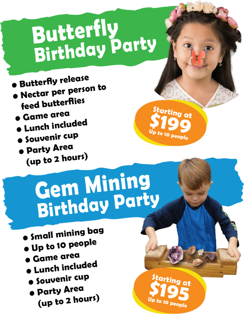 Birthday party image. Starting at $195 Butterfly birthday Party or Gem Mining Birthday Party call for details