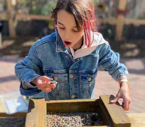 young Girl Allison Affee panning gems images from gem mine at Boggy Creek Airboat Adventures