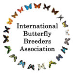 International Butterfly Breeder Association sponsor logo